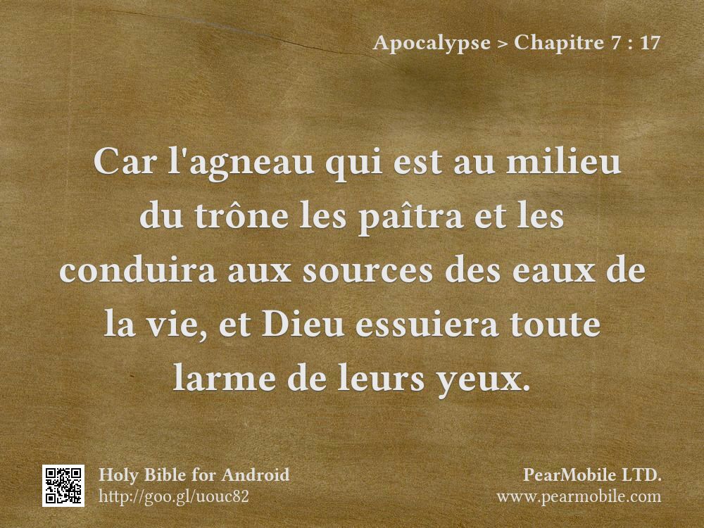 Apocalypse, Chapitre 7:17
